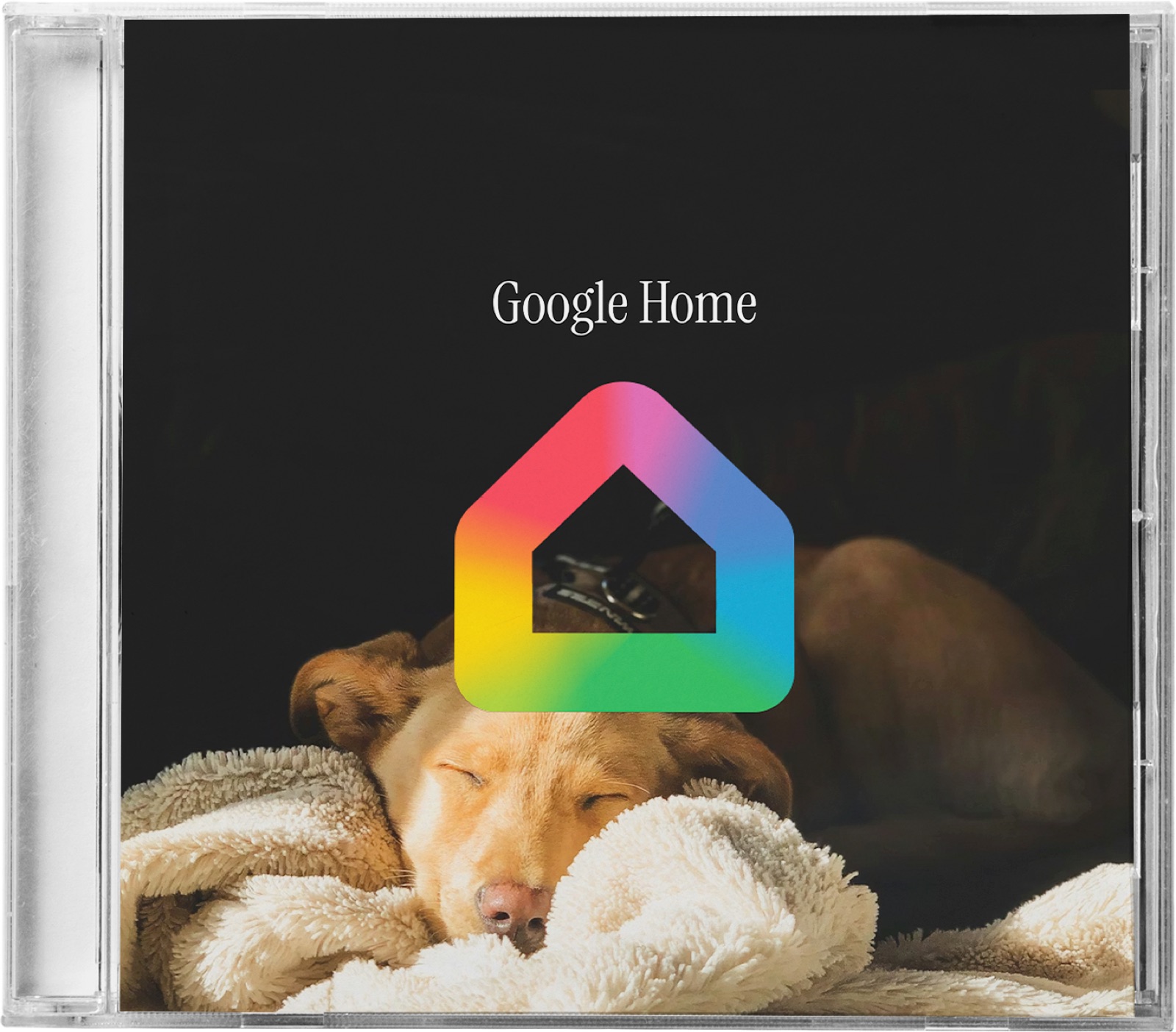 Google Home